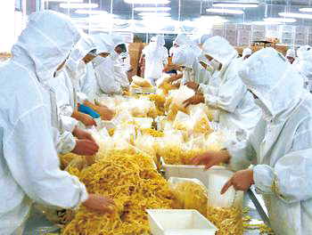 食品加工及存儲產(chǎn)業(yè)的現(xiàn)狀與未來趨勢